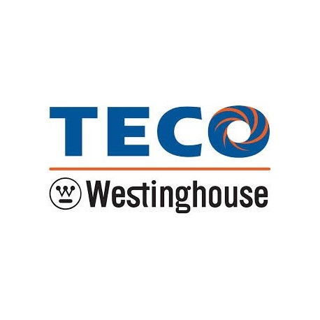 TECO-Westinghouse Motors